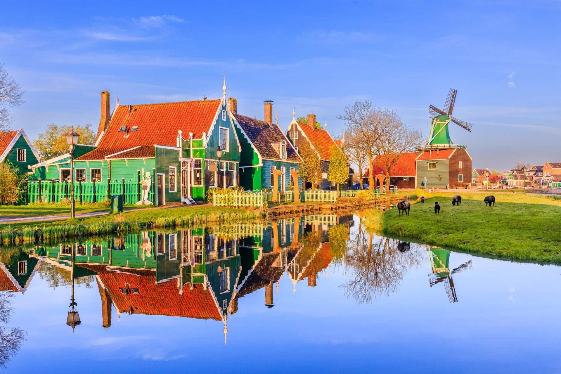 tur kincir angin amsterdam ()